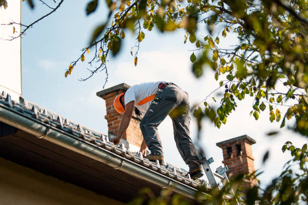 Tile Roofing Contractor in Newton, IA