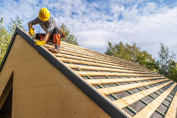 Best Metal Roofing Contractor  in Newton, IA