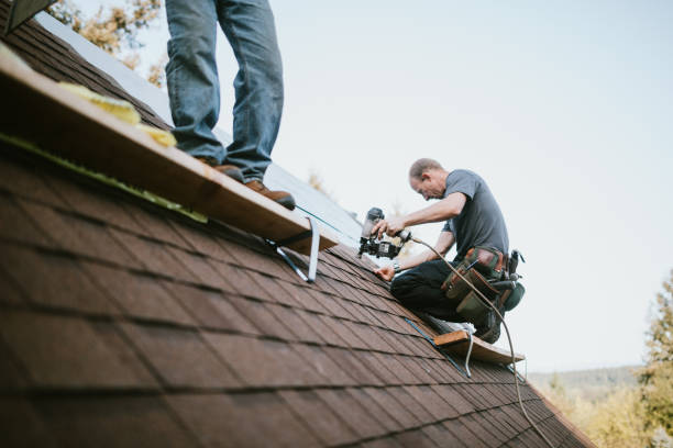 Quick and Trustworthy Emergency Roof Repair Services in Newton, IA